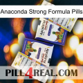 Anaconda Strong Formula Pills 12